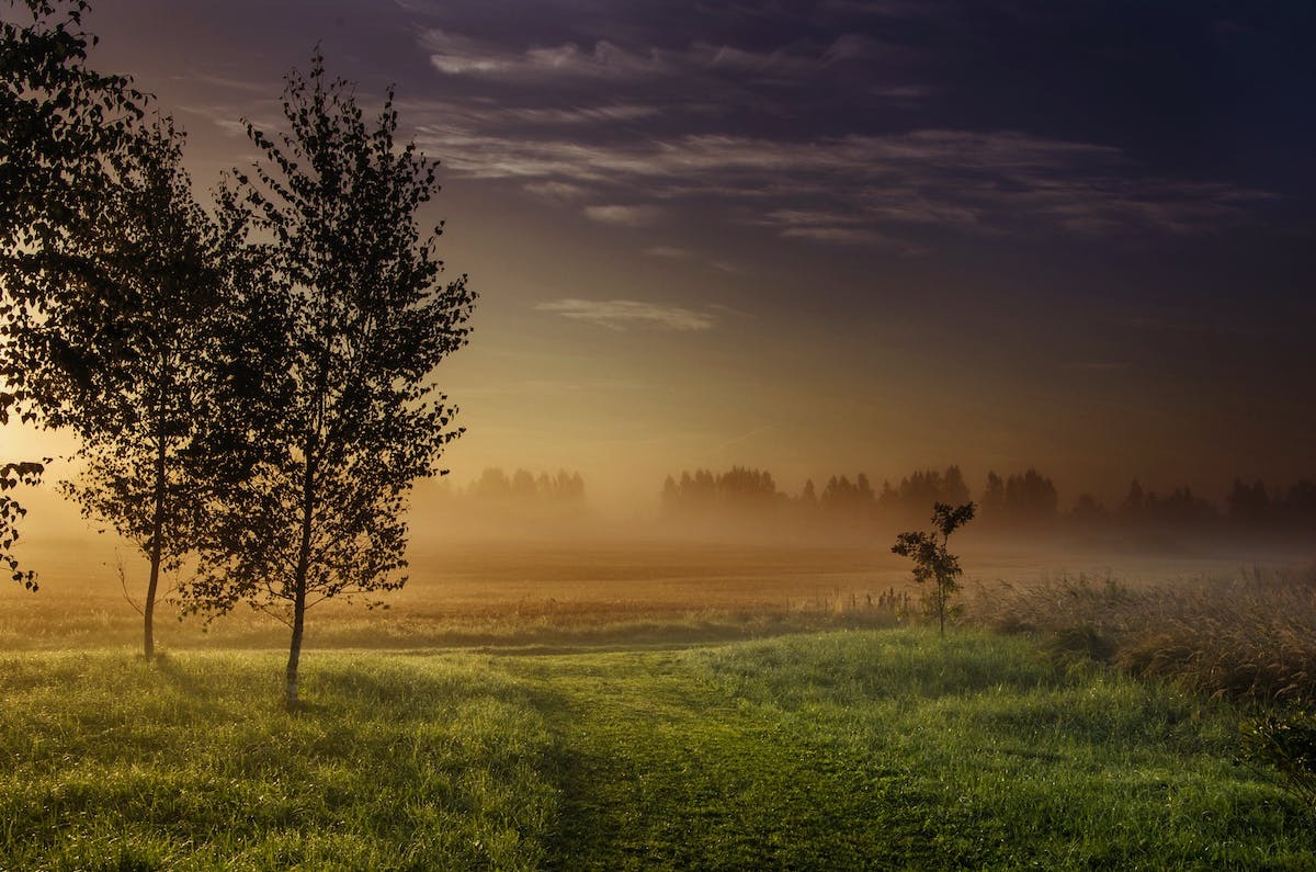 photographie paysage