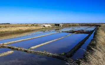 Vendée : les endroits les plus incontournables