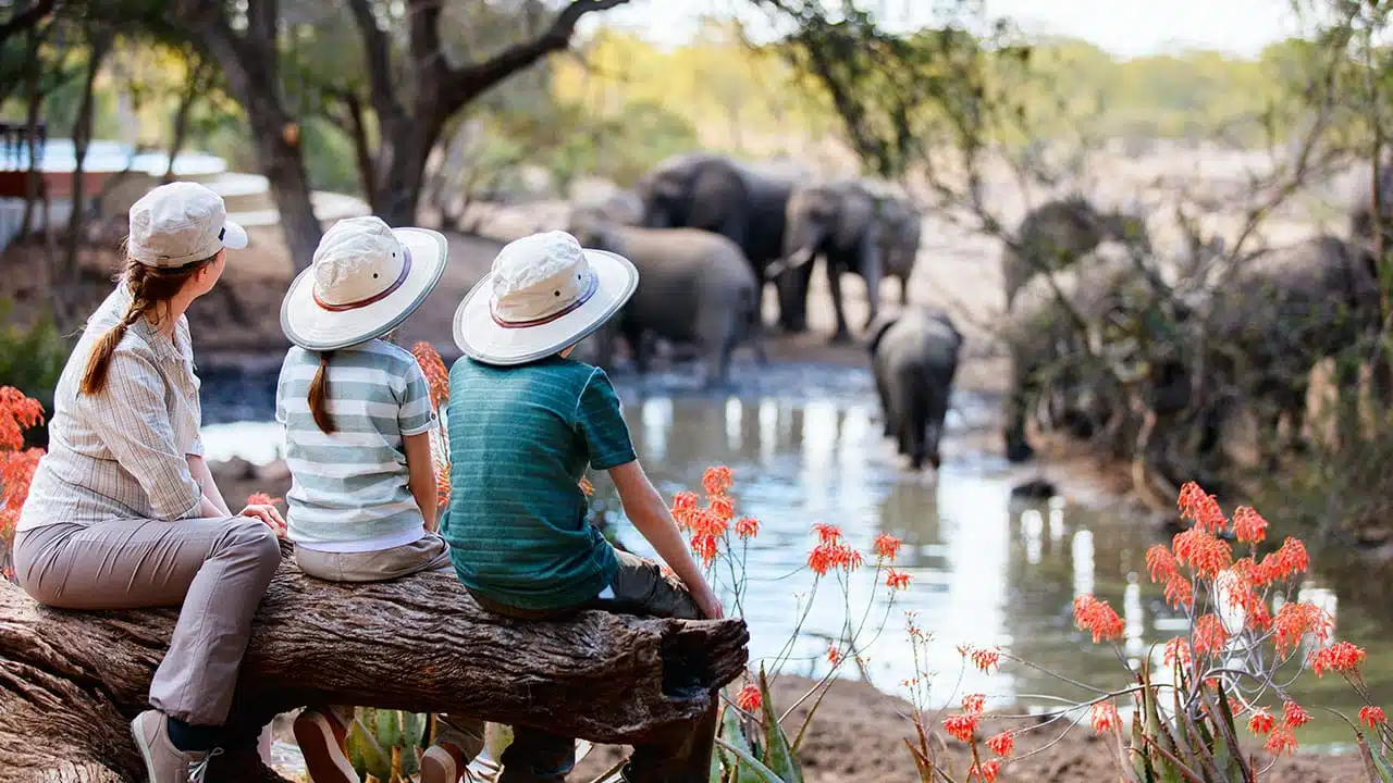 Comment organiser un safari au Kenya 