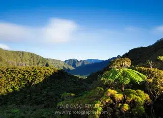 Quand faire un voyage à La Réunion ?