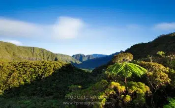Quand faire un voyage à La Réunion ?