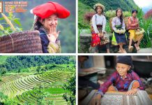 voyage au Vietnam