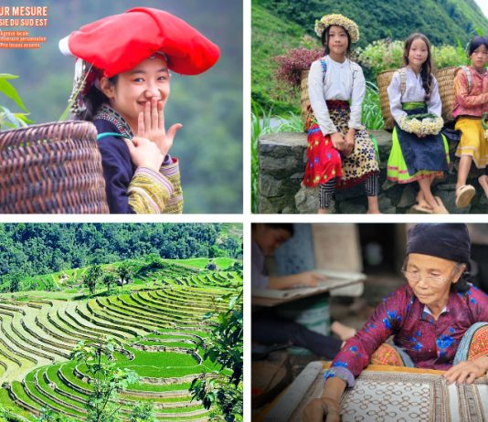 Vietnam : partir en solo ou choisir un guide francophone ? voyage au Vietnam