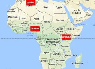Quelles sont les langues les plus parlées en Afrique du Sud ?