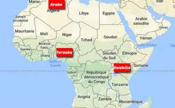 Quelles sont les langues les plus parlées en Afrique du Sud ?
