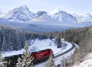 un train traversant une forêt enneigée